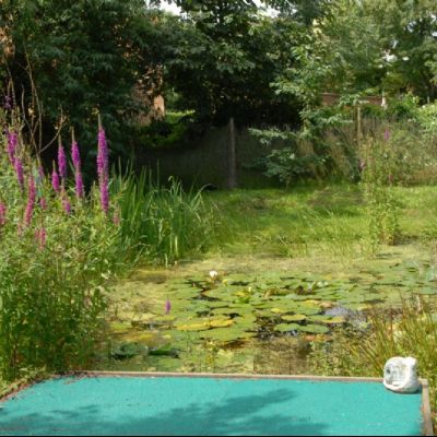 Pond at Knowle Green